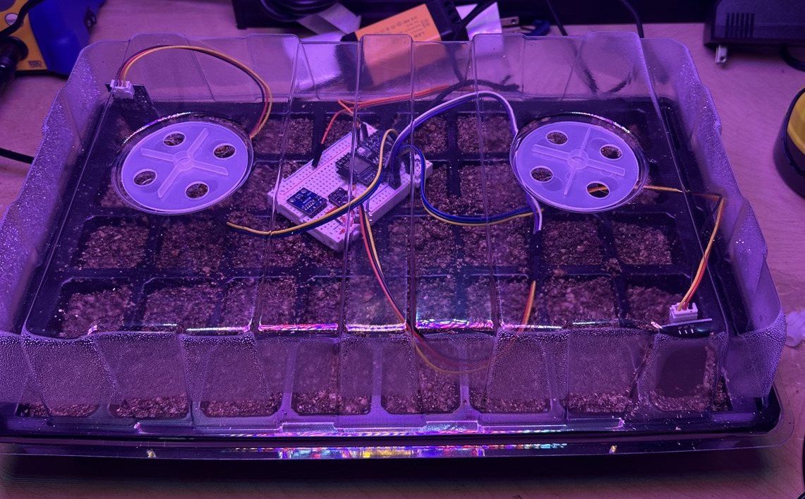 Seed incubator under grow lights