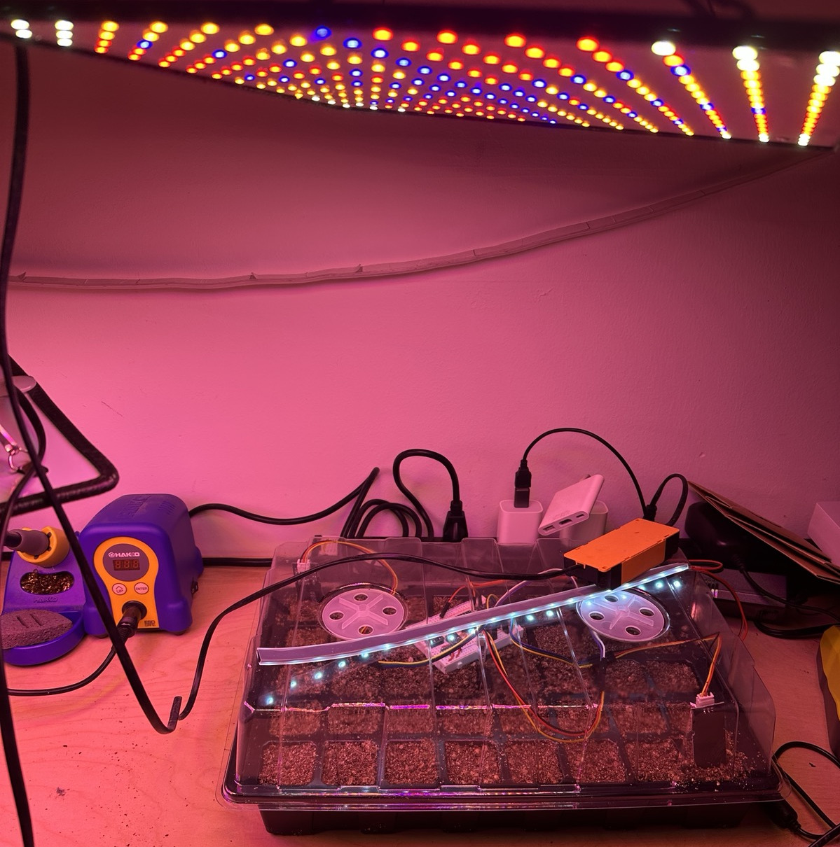 LED strip vs proper grow light comparison